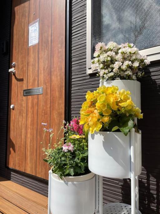 Apartment 都内桜名所寝室から桜観賞リノベーリョン一軒家池袋エリア中板橋駅 Tokyo