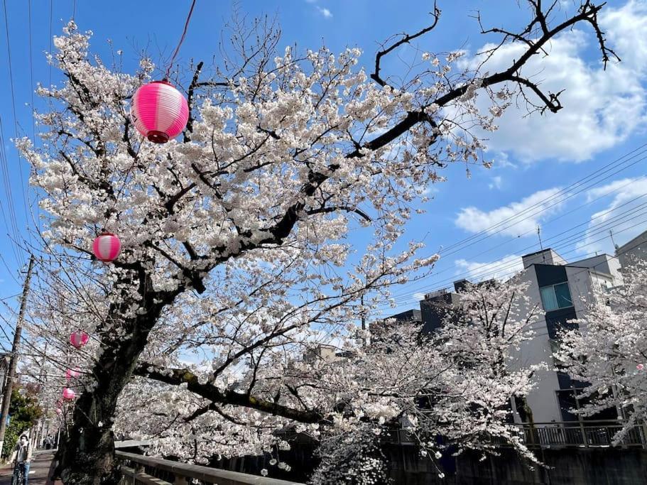 Apartment 都内桜名所寝室から桜観賞リノベーリョン一軒家池袋エリア中板橋駅 *