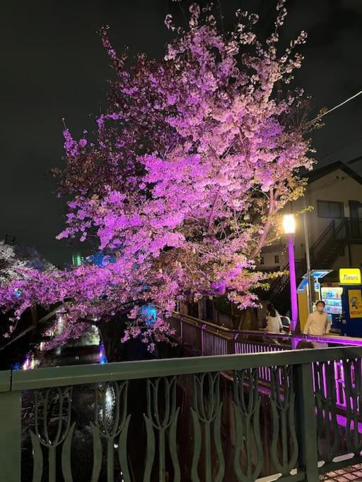 Apartment 都内桜名所寝室から桜観賞リノベーリョン一軒家池袋エリア中板橋駅 *