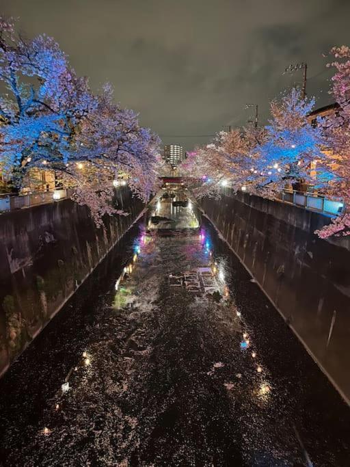 都内桜名所寝室から桜観賞リノベーリョン一軒家池袋エリア中板橋駅 *