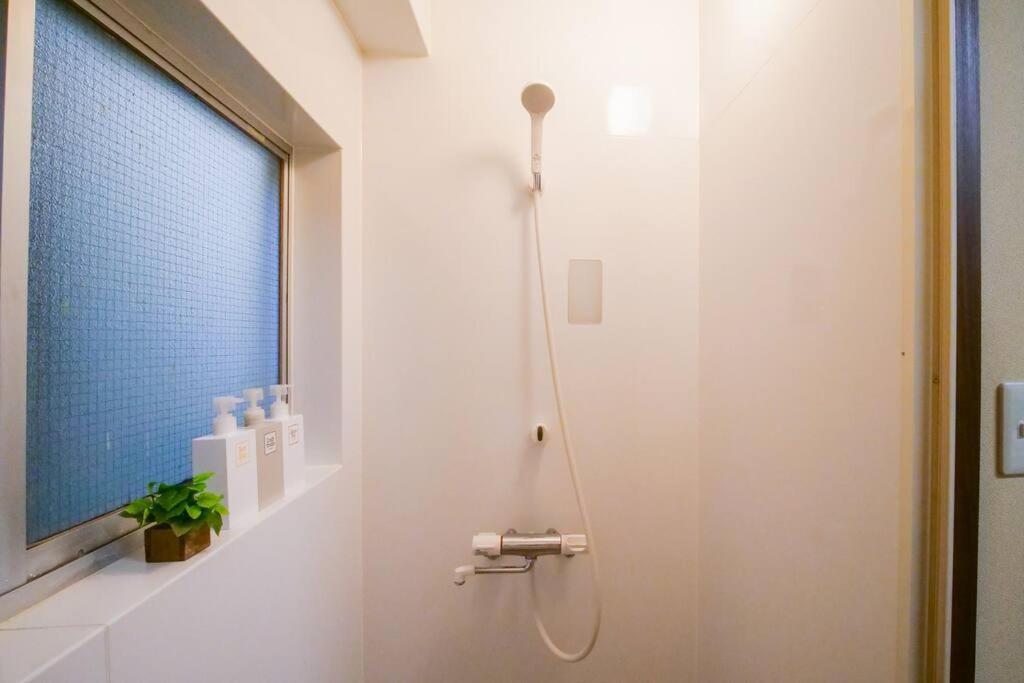 1f Facing Skdytree 6min Stn Direct Nrt&hnd&disney Apartment Tokyo