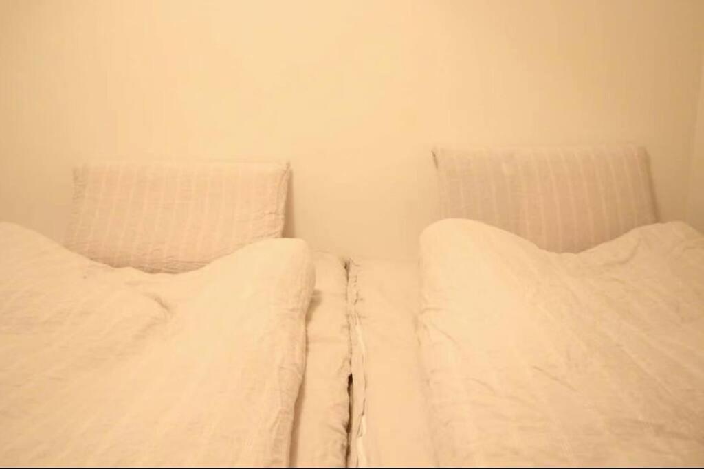 New Open! Big Cozy House In Ikebukuro! Jr/subway *