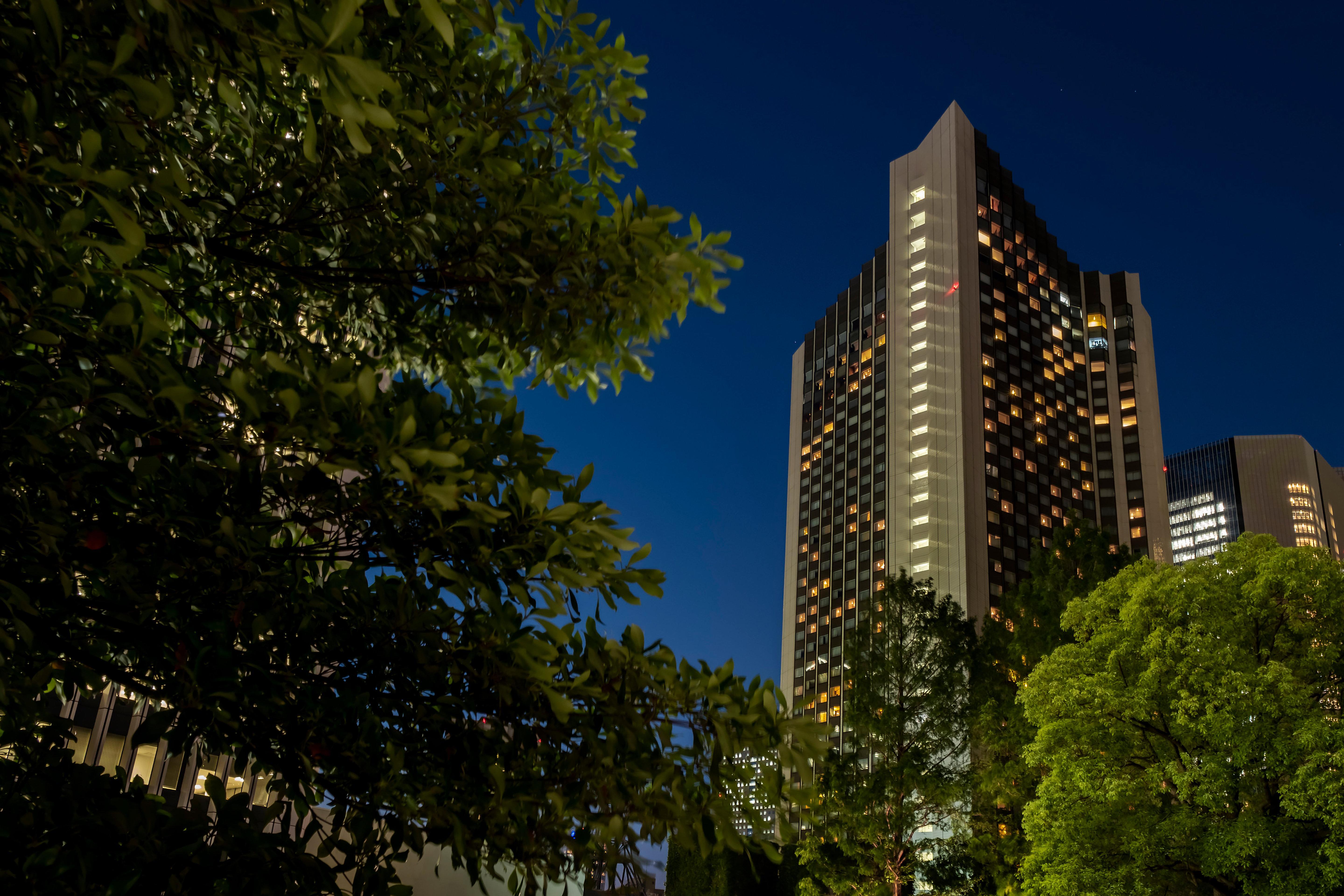 Ana Intercontinental By Ihg