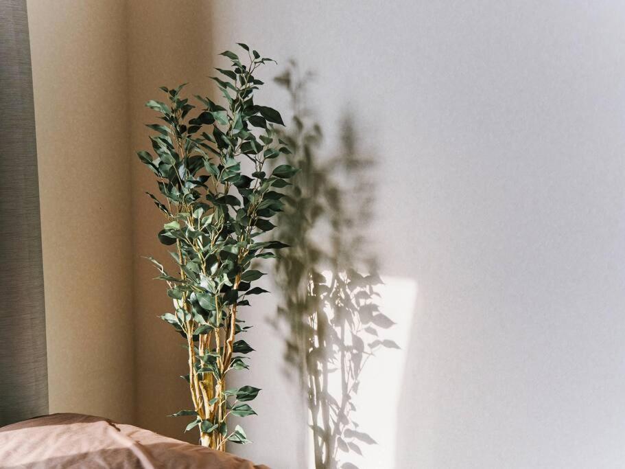 Evergreen Apartment Tokyo