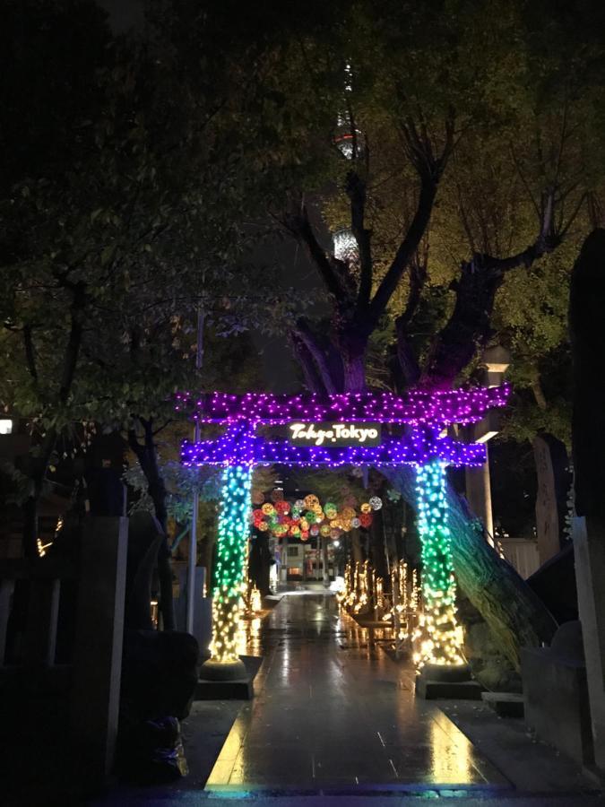 ワイズパーク向島5階