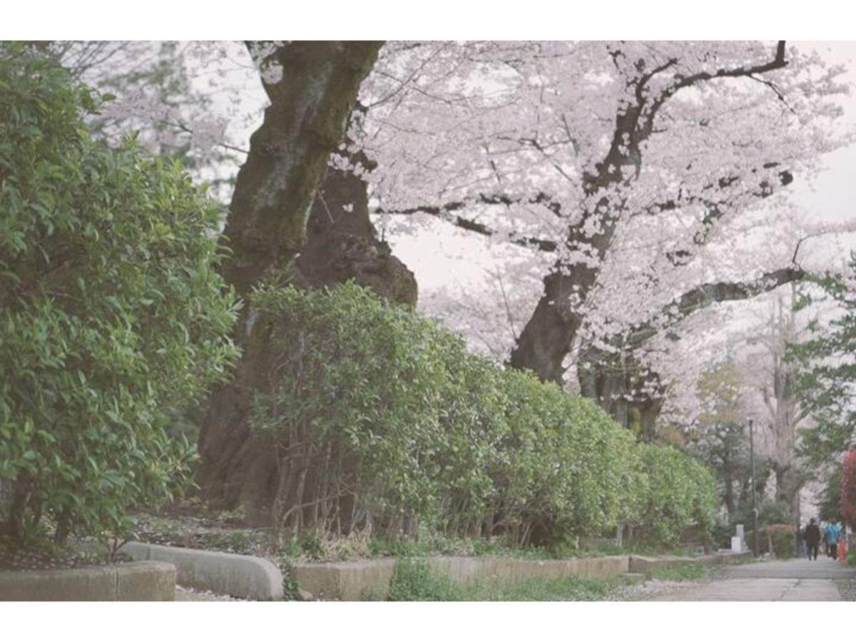 Hakugei 2 - Vacation 31039v