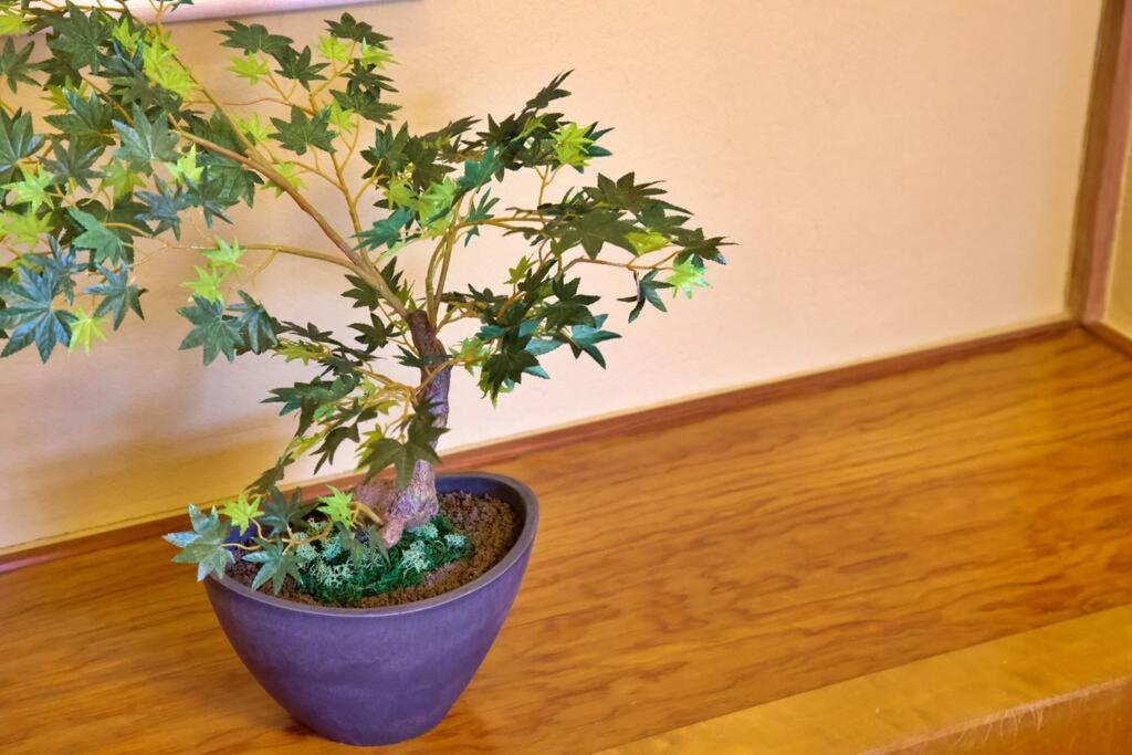 鎌倉一丁目貸家 *