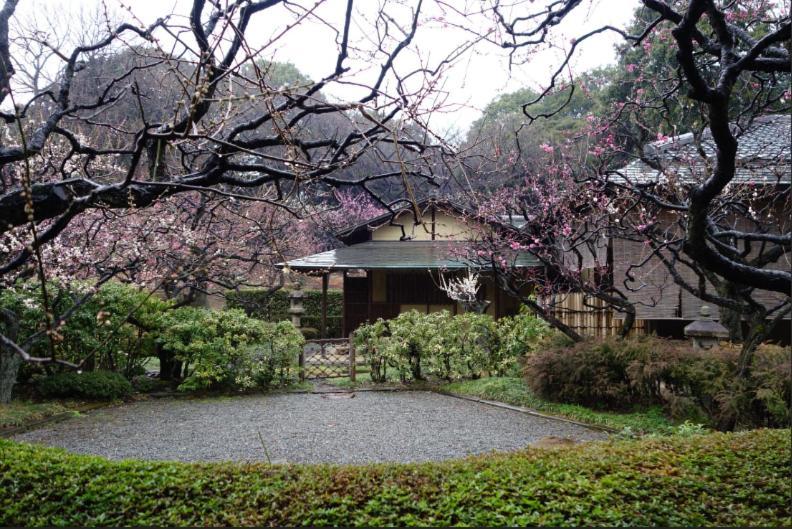 Shinjuku Gyoen Hana House Apartment