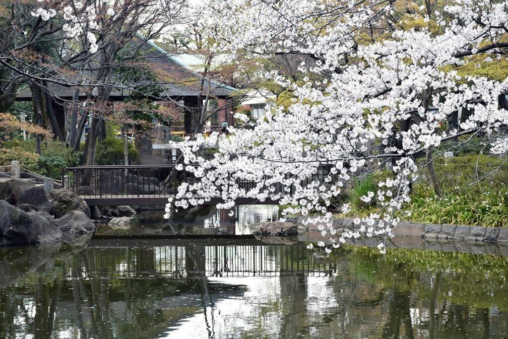 Value Stay, Immerse In Local Culture, Prime Location & Fast Wifi
