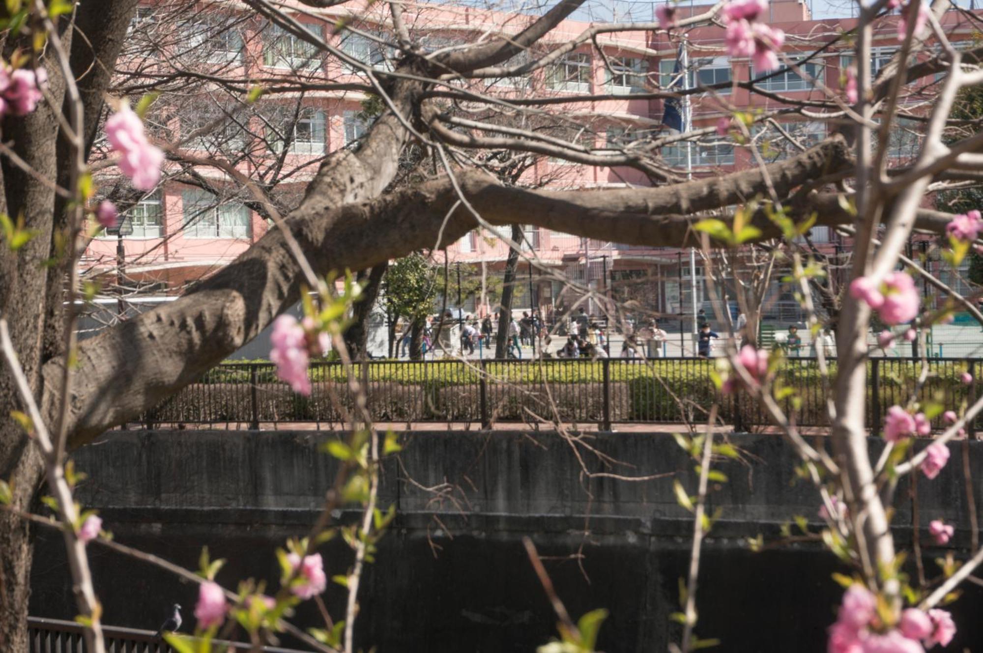 Family Or Business Travel 20 Percent Off Free Ikebukuro Shuttle Garden Up To 7 Guests Tokyo
