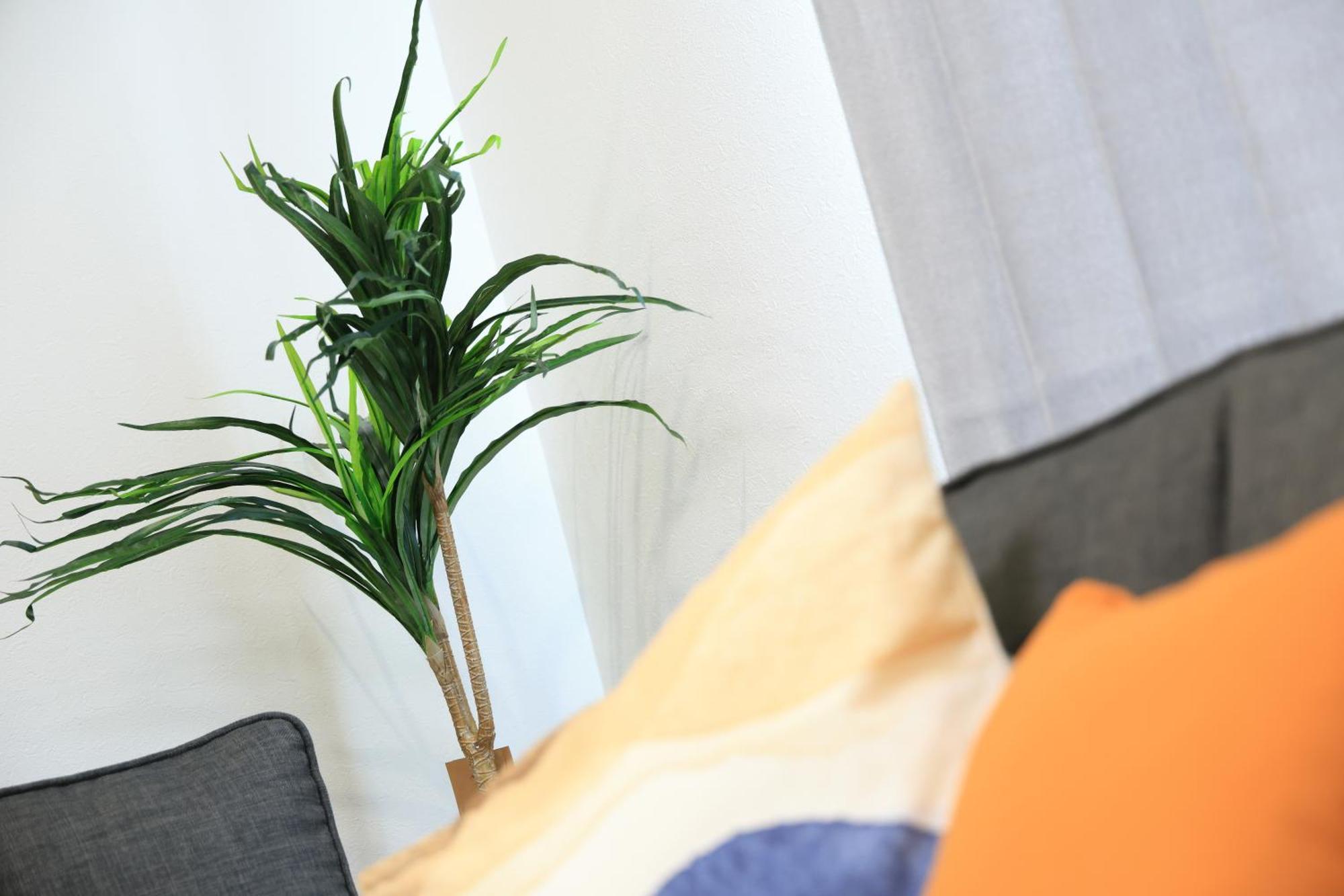Bliss Ikebukuro Apartment