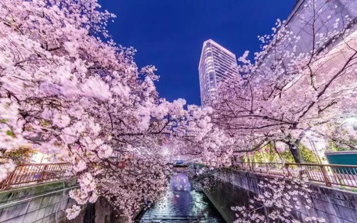 Lucky House503 Tokyo