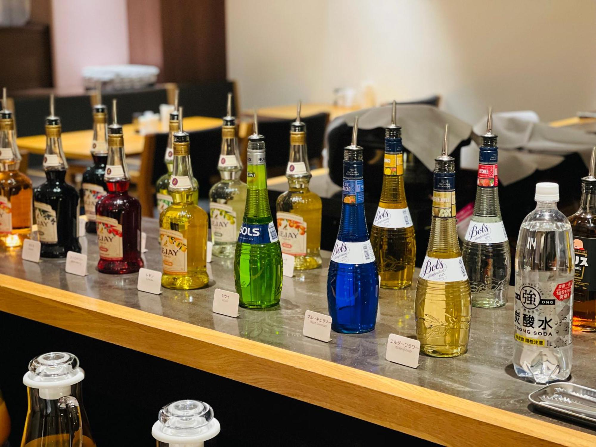 Henn Na Nishikasai Hotel