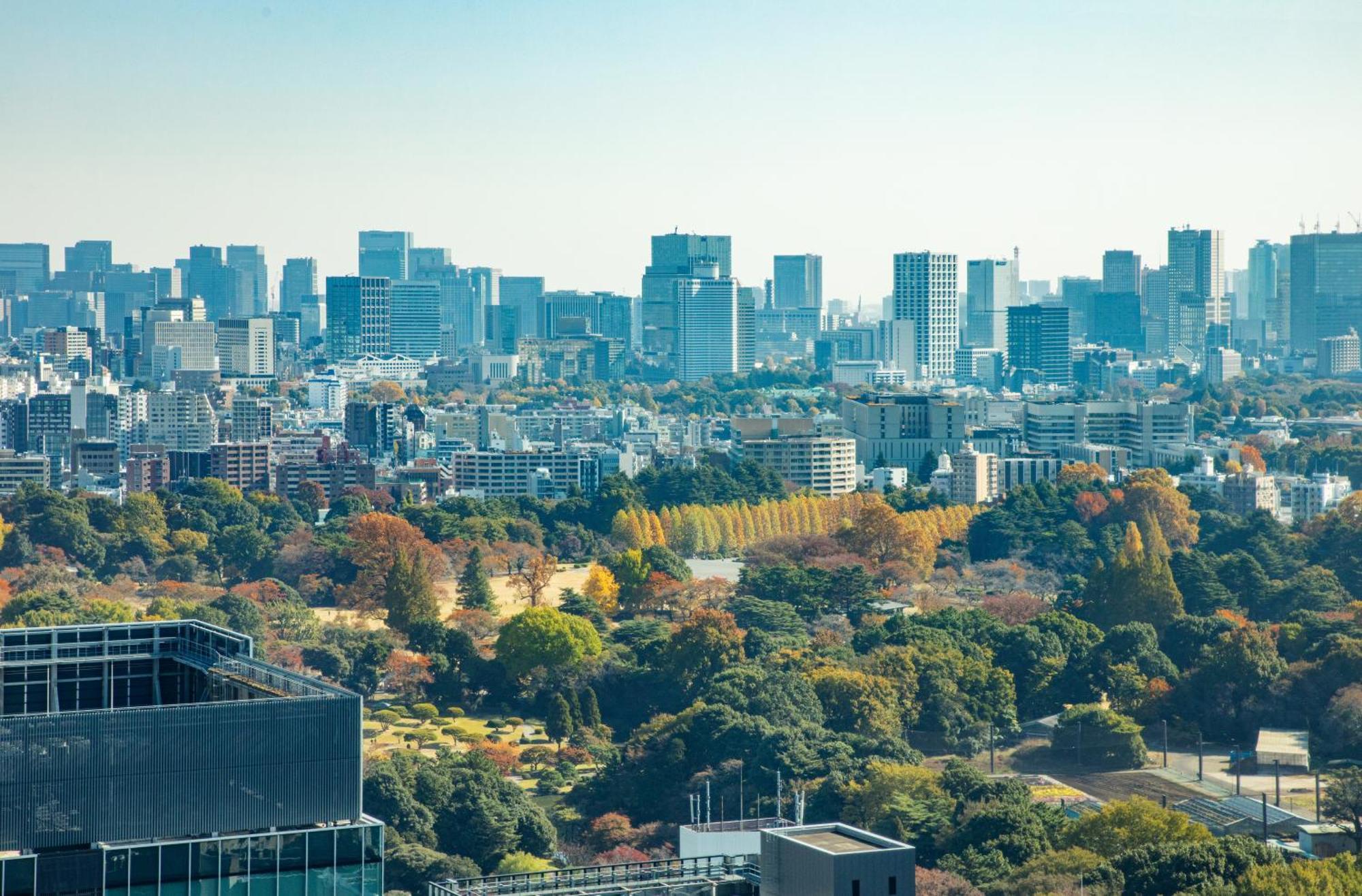 Odakyu Century Southern Tower 4*