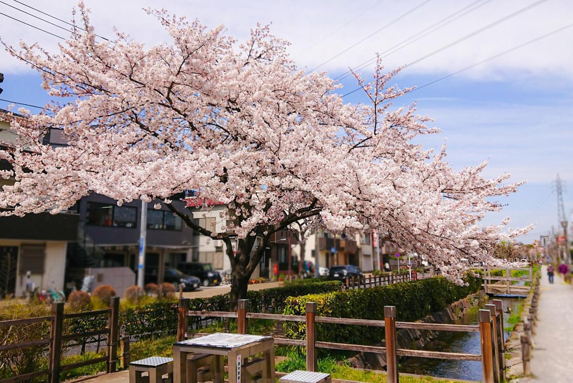 Sc Heights 103 * Tokyo