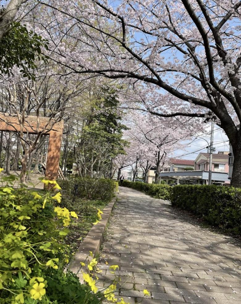 Oji-house_王子ハウス