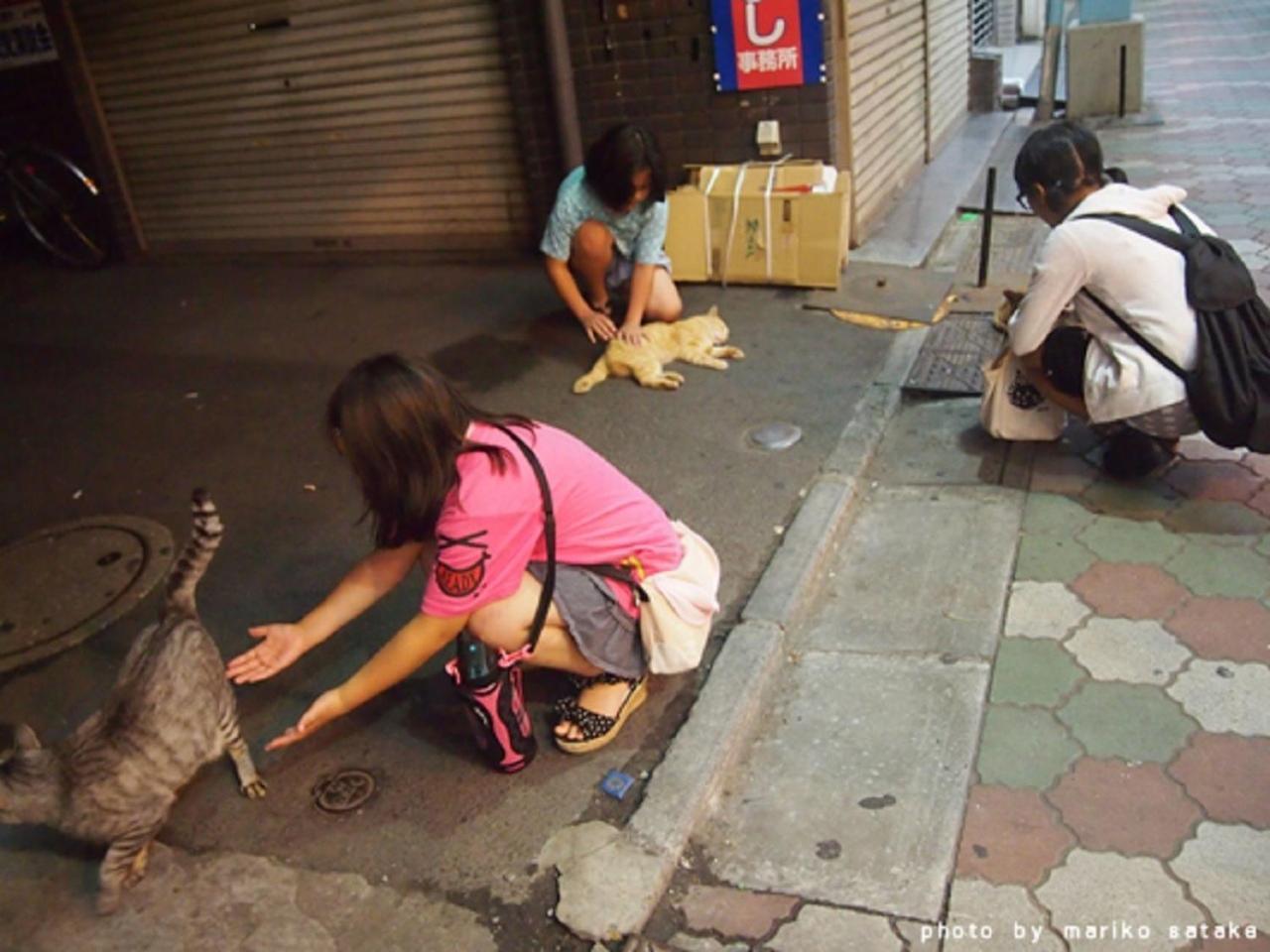 Takano Private House - Vacation 32311v Tokyo