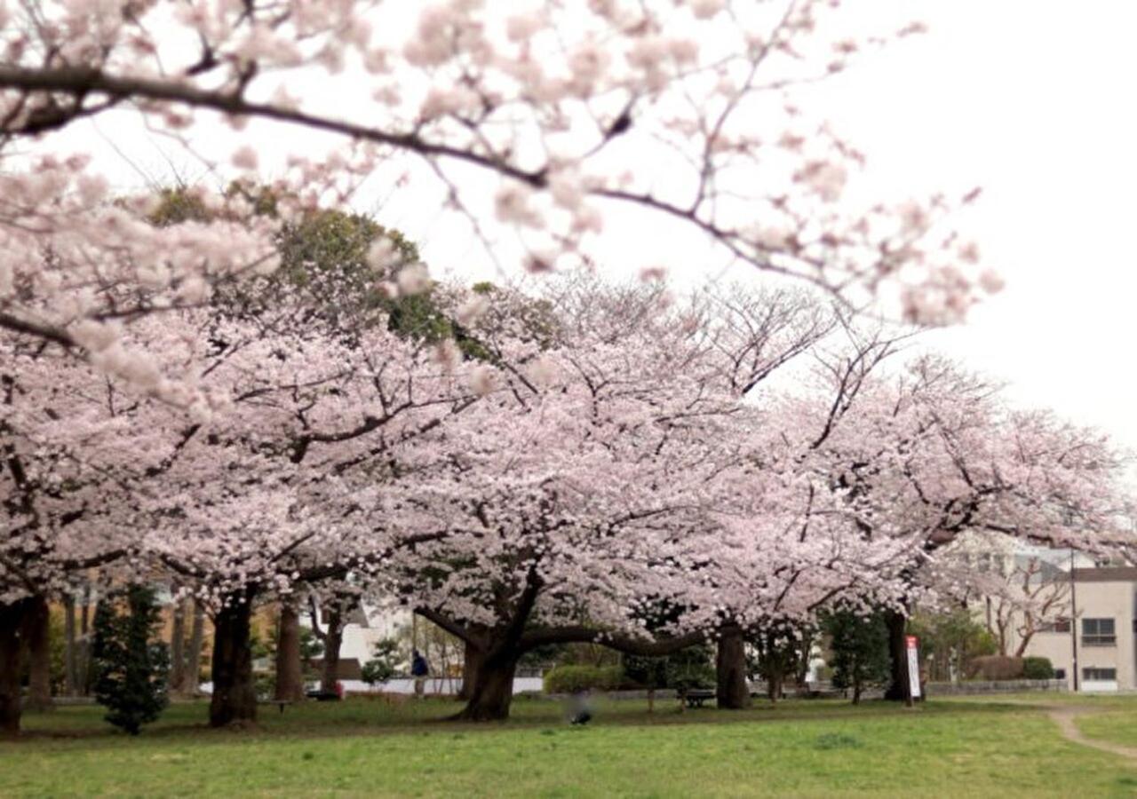 Kamei House * Tokyo