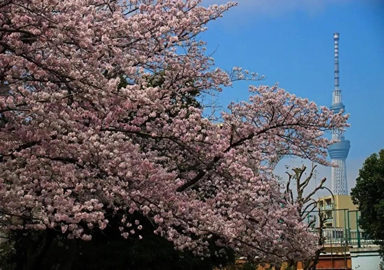 Holiday home Kamei House Tokyo