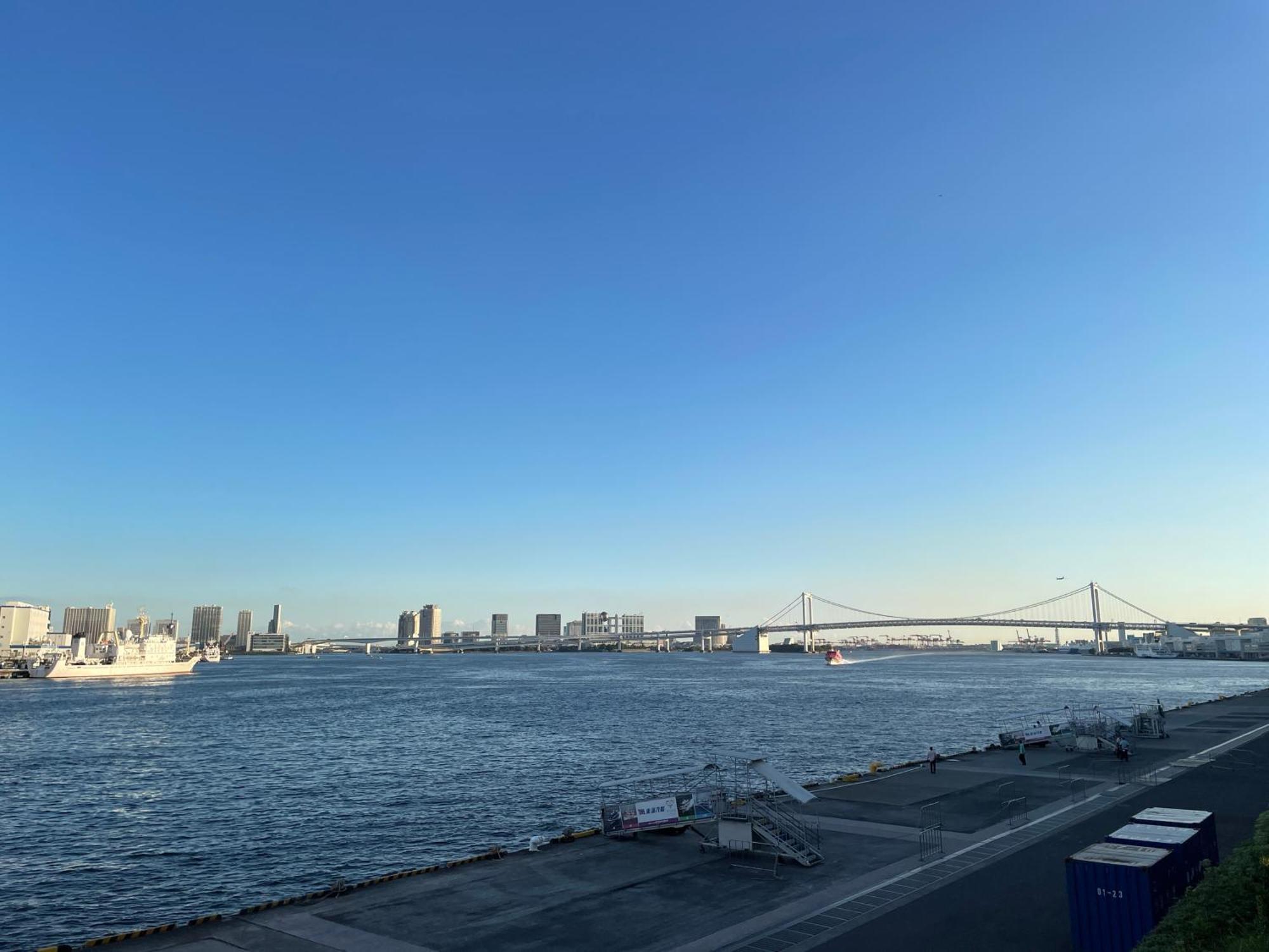 Bayside Azur Takeshiba Hotel