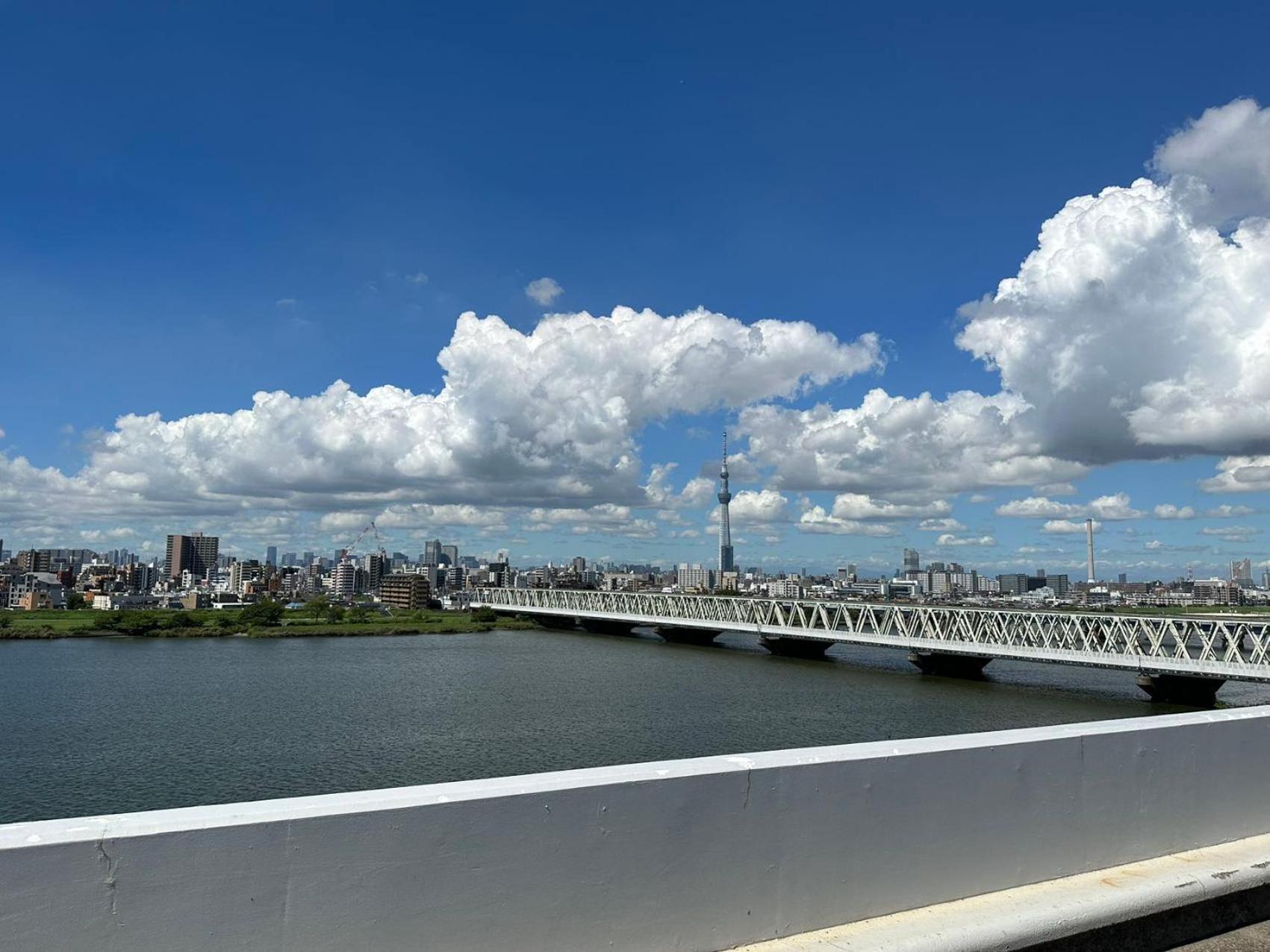 Villa 东京晴空塔圈独栋别墅