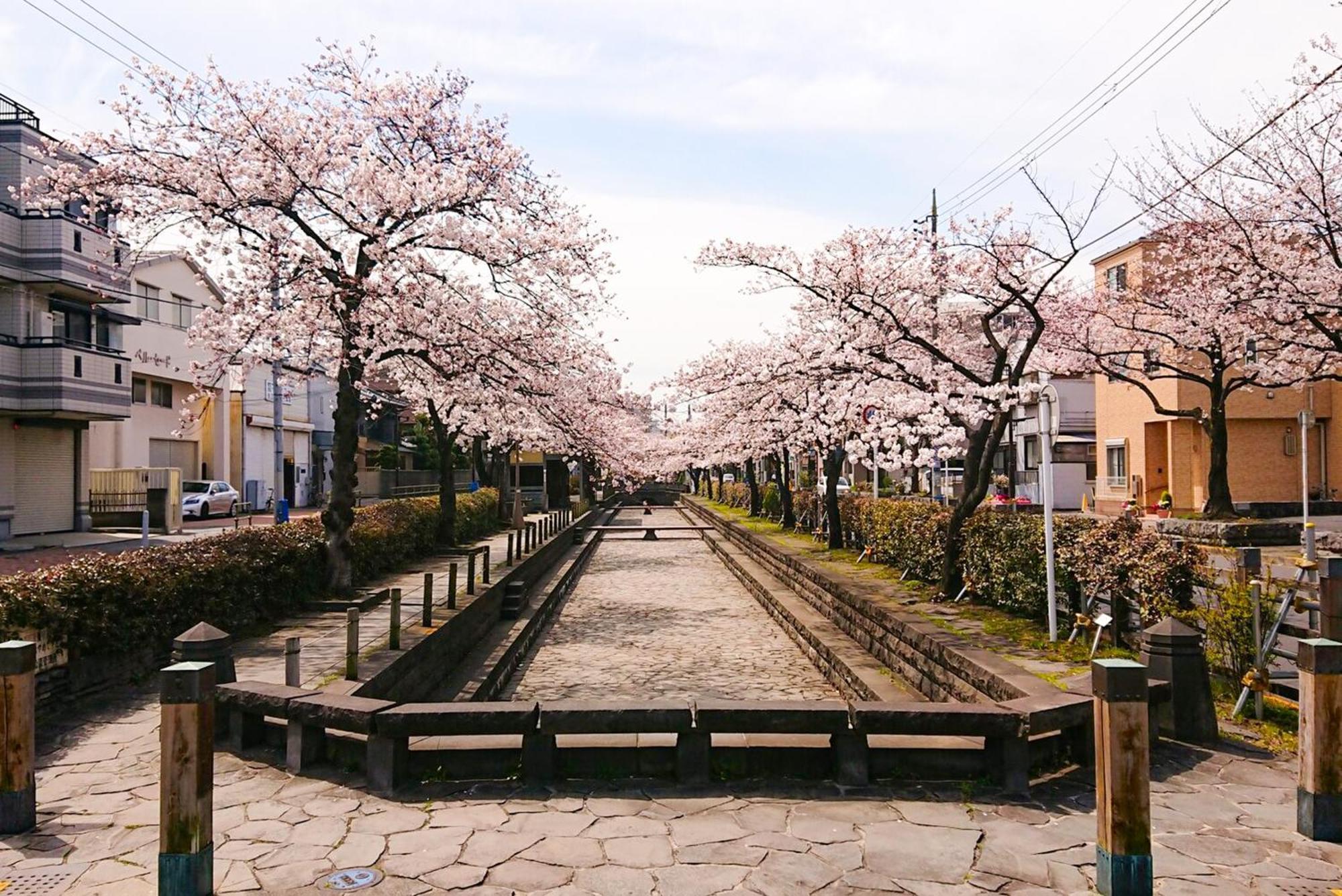 Sc Heights 203 Tokyo