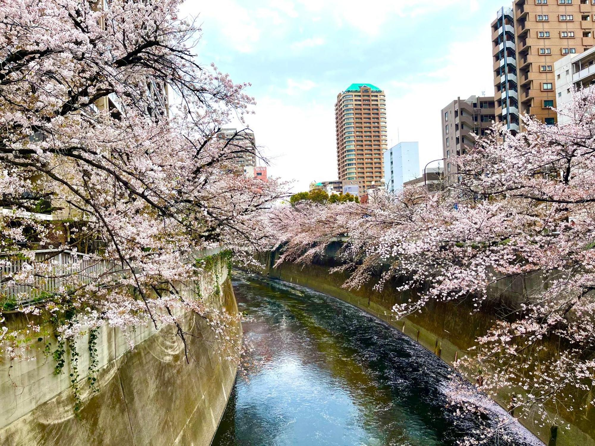 Apartment Nearest Sta 4mins!nr Ikebukuro,shinjuku,shibuya! *