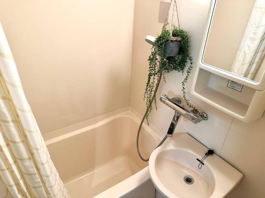 Apartment K Shinjuku Area-max 4p-新宿中心地域-步行可到新宿大久保歌舞伎町-可住4人 *