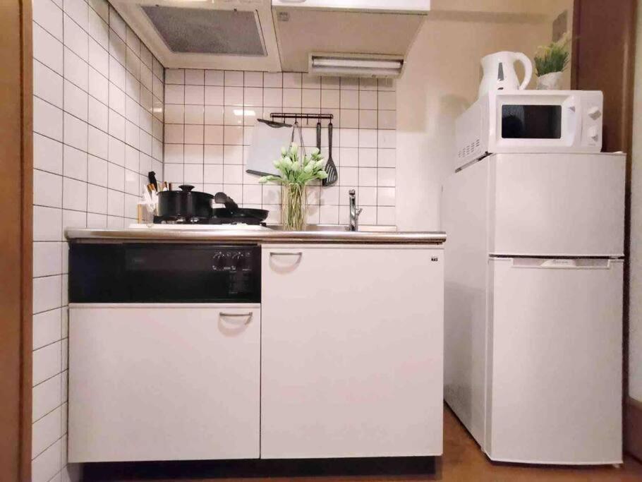 Apartment K Shinjuku Area-max 4p-新宿中心地域-步行可到新宿大久保歌舞伎町-可住4人 Tokyo