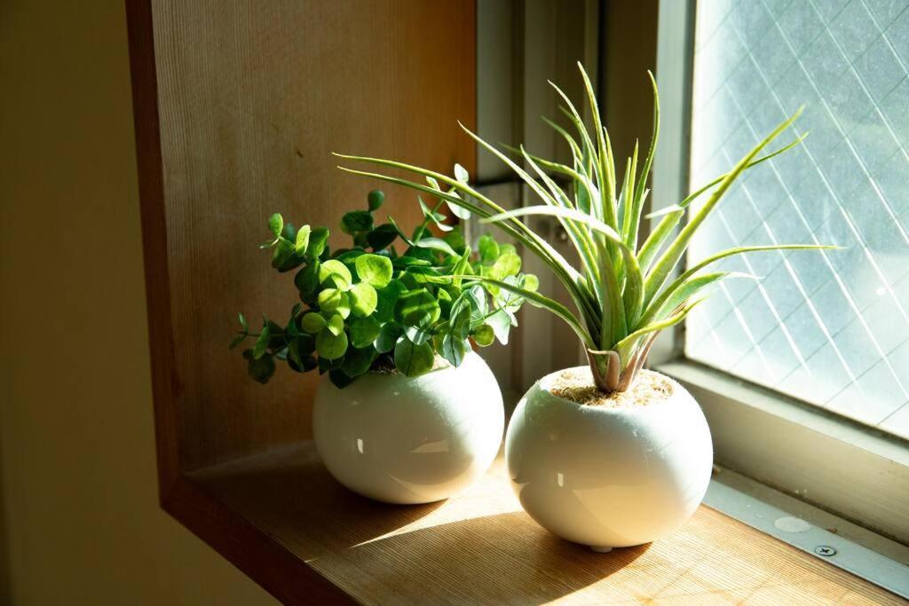 Apartment The Archaic / Luxury Near Shinjuku *