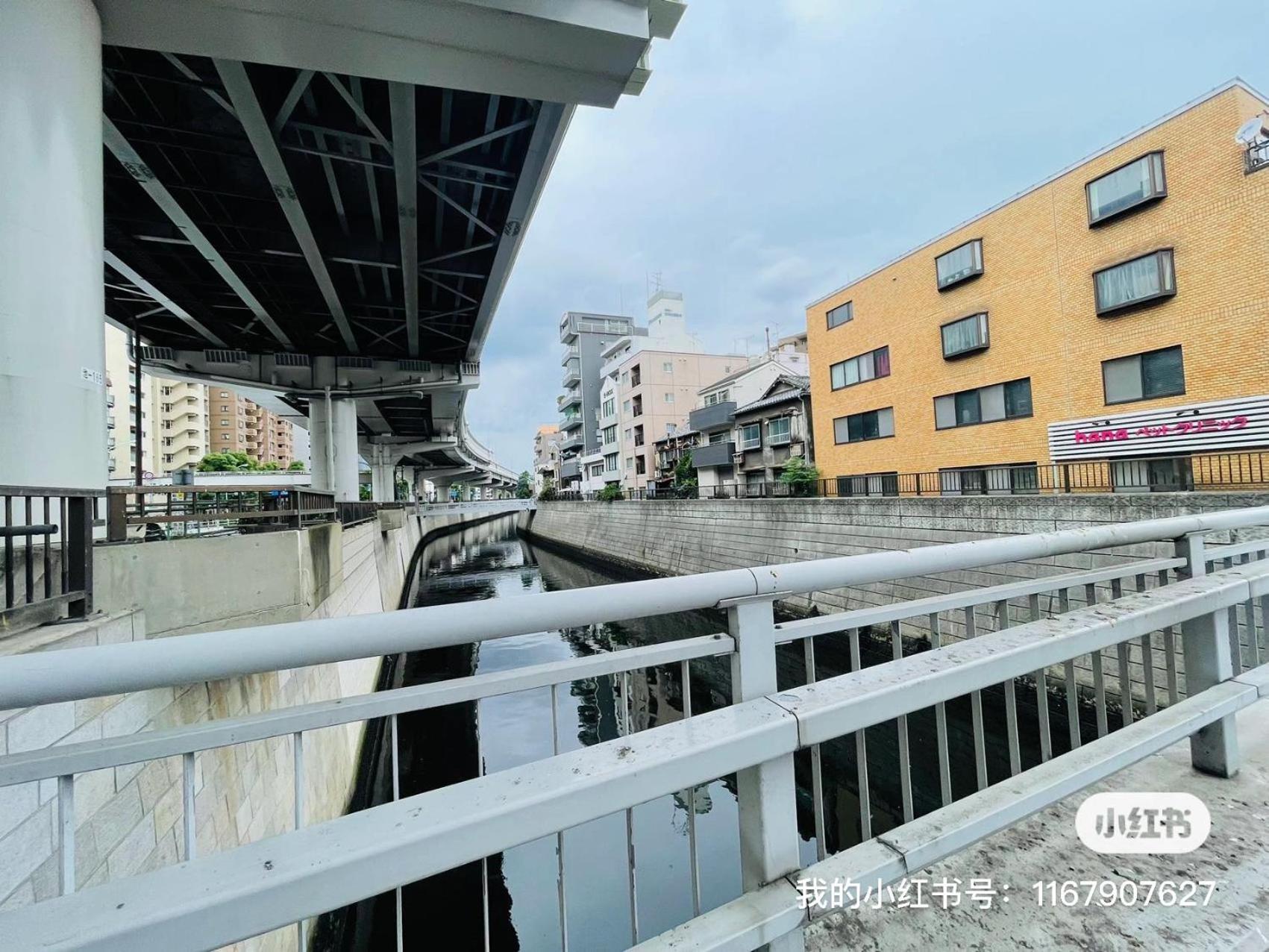 Apartment 东京巨蛋演唱会 超大露台，网红公寓，整套房源，适合情侣度假，商务旅游