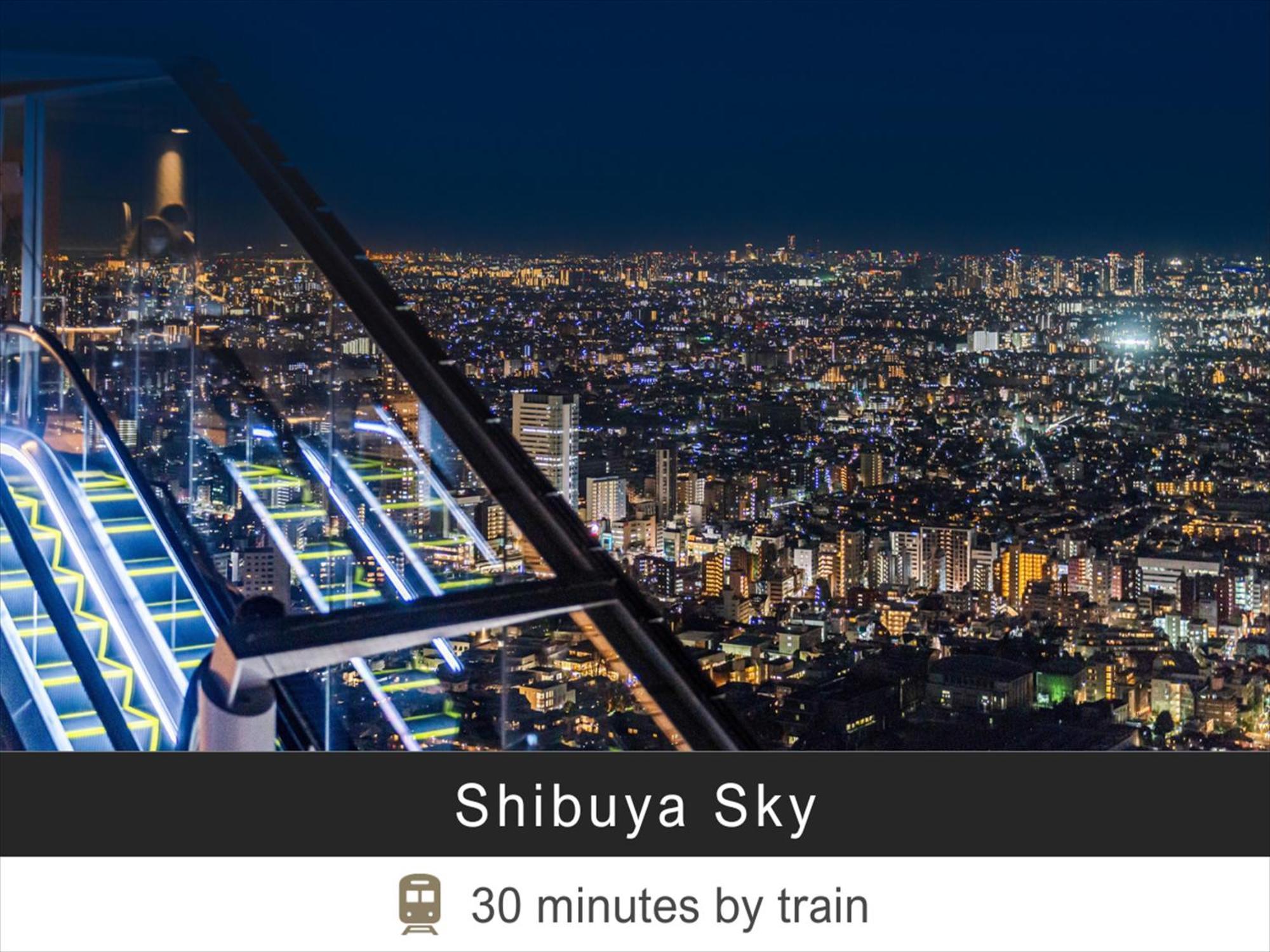 Tokyu Monzen-nakacho Hotel 3*