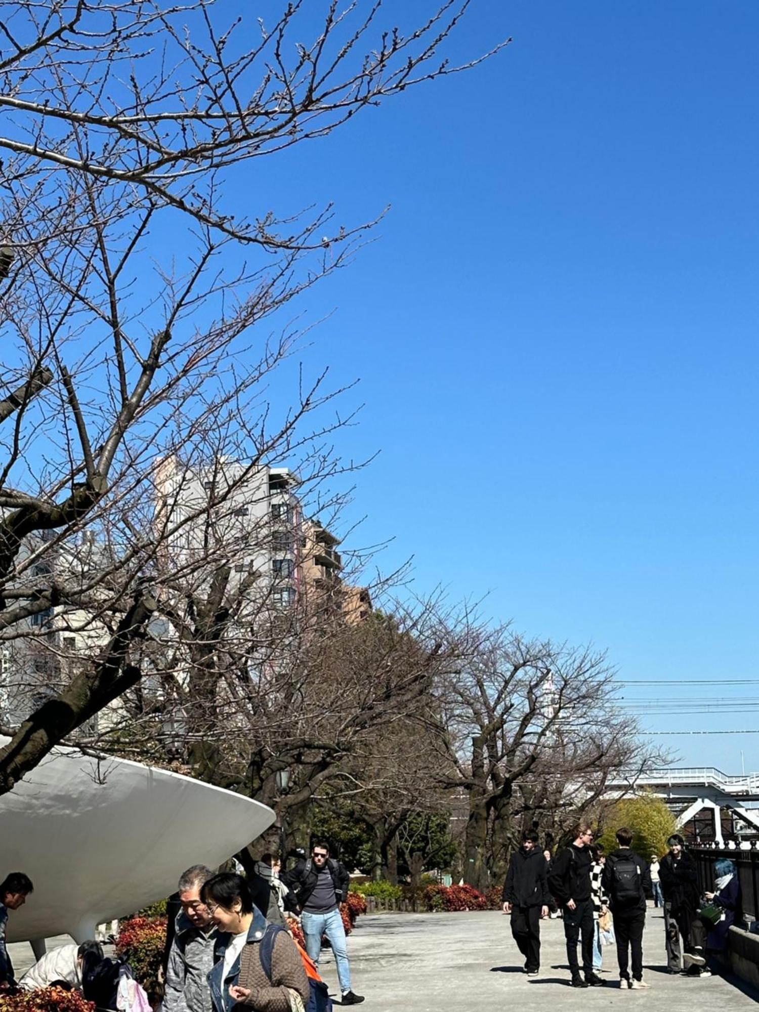 Apartment Relax Place Tokyo