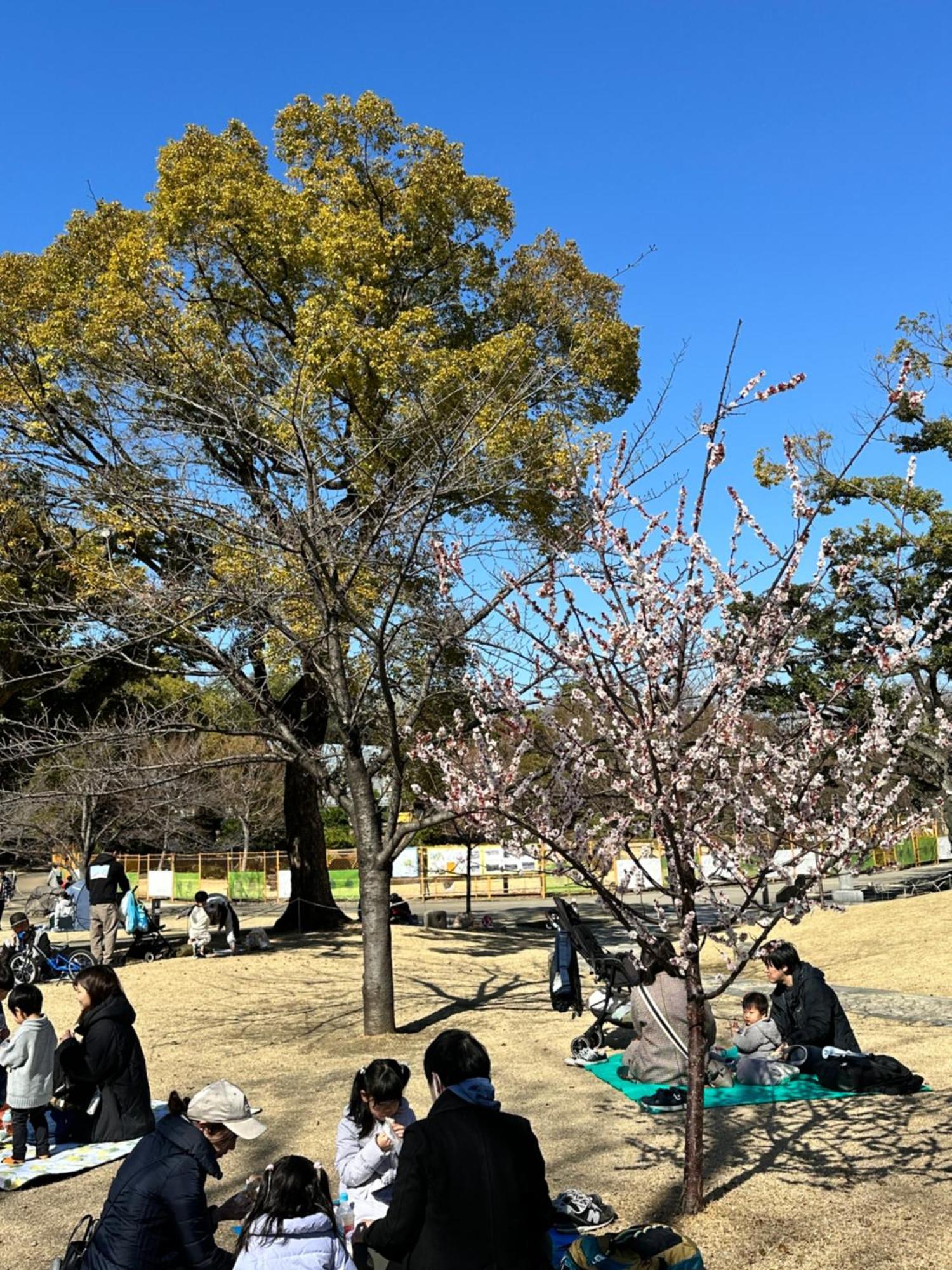 Relax Place * Tokyo