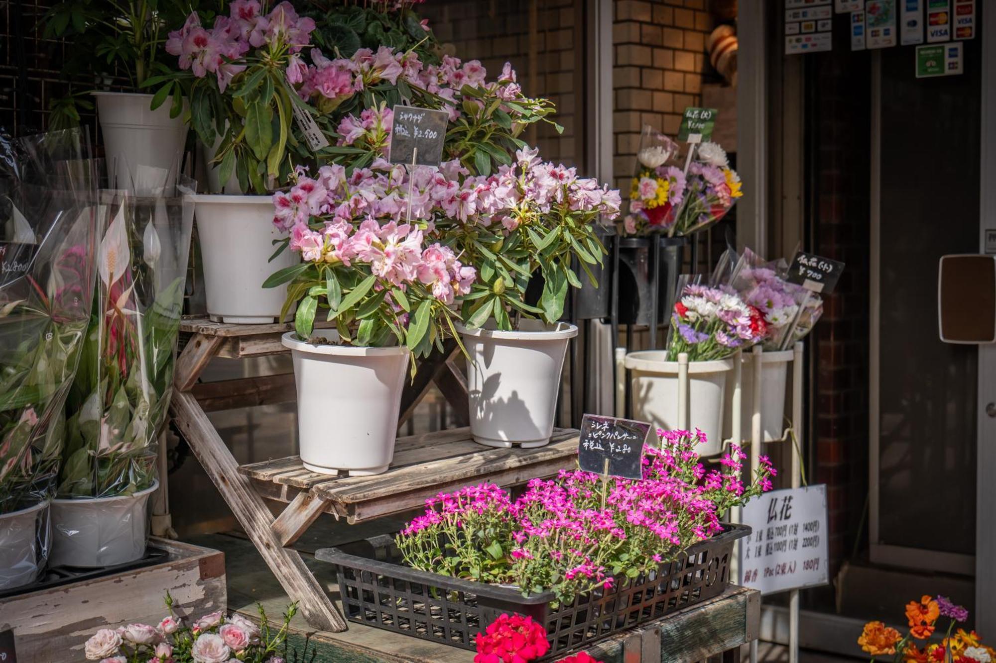 Villa 桜の川15 Detached House Ikebukuro 2 Mins Kanamecho Station 1 Min Eight People