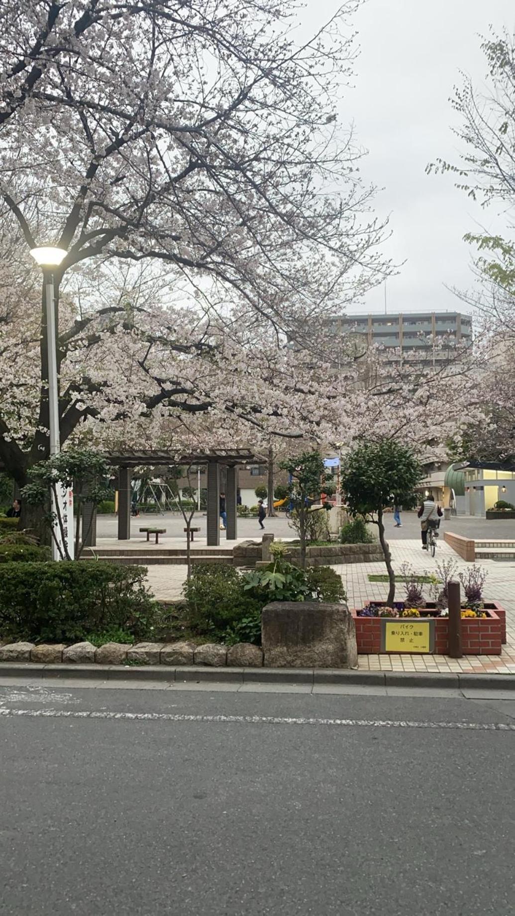 辣椒民宿