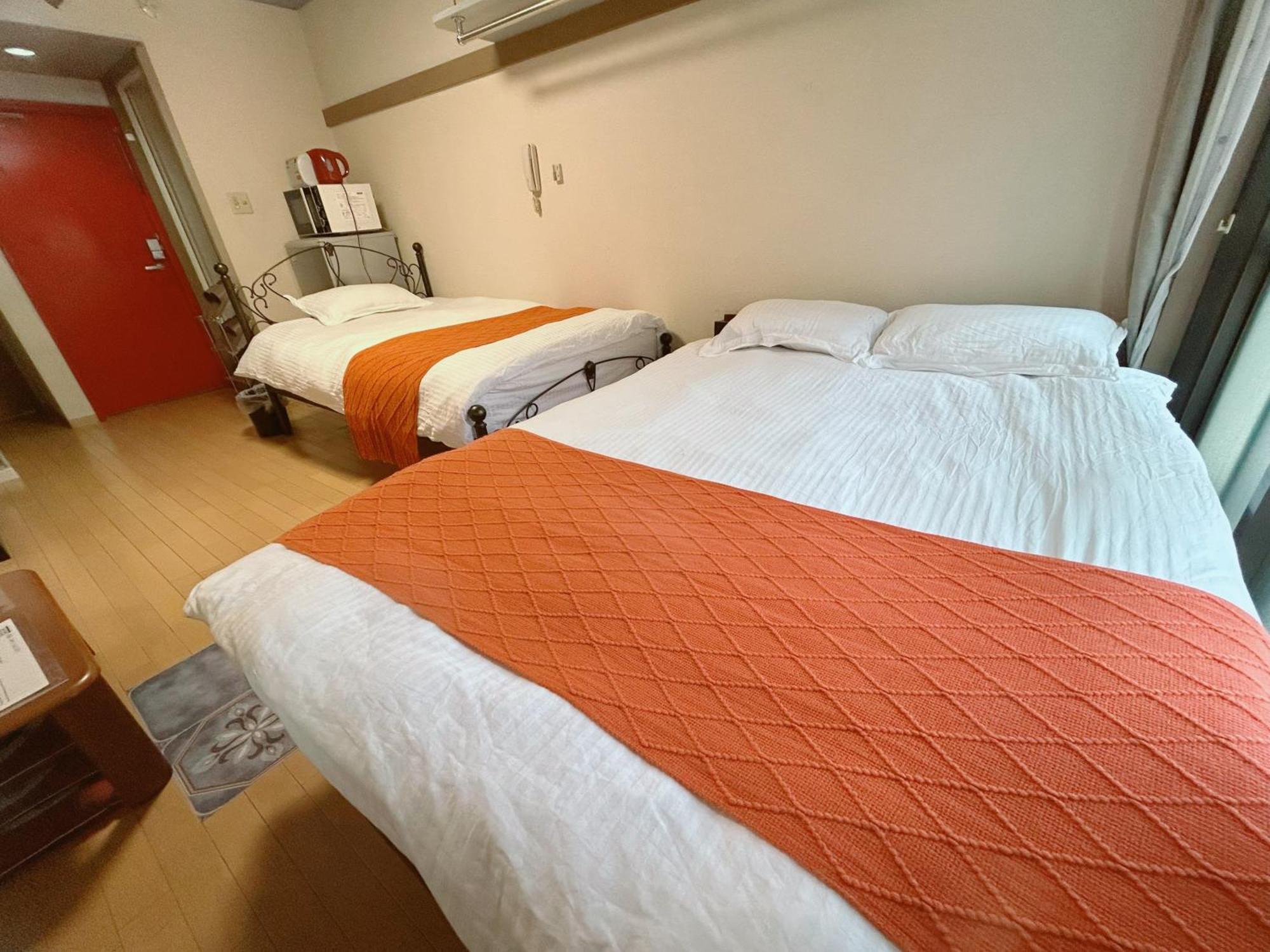 Ueno Palazetto Iriya Apartment