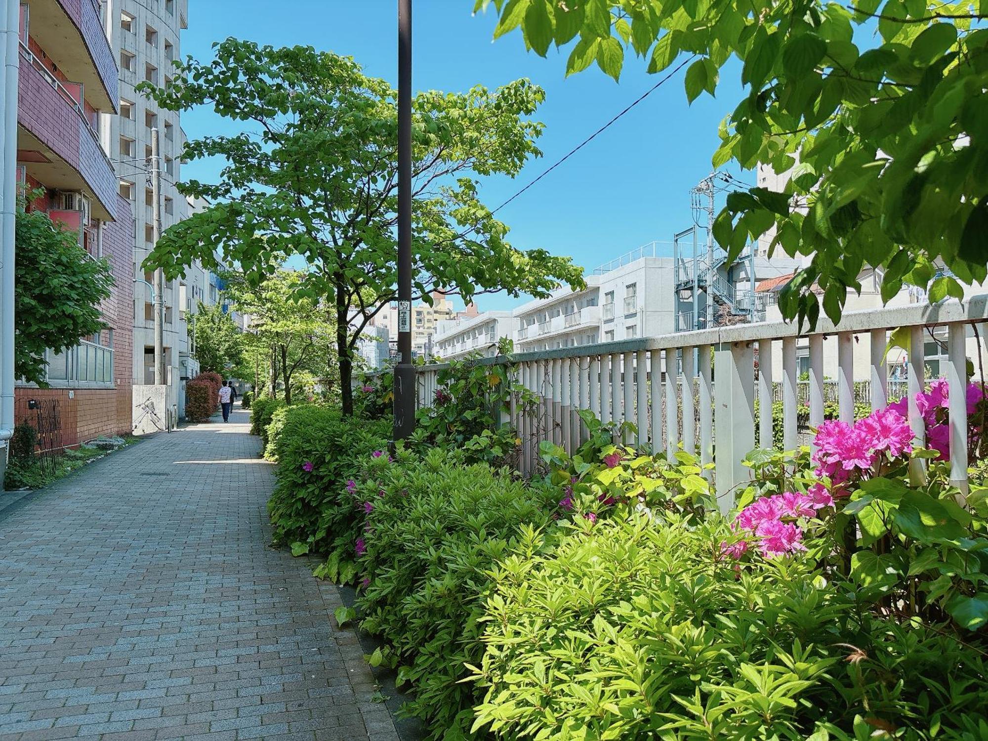 Apartment Shinjuku Business House 5min Walk 新宿高田馬場駅歩行5分 Tokyo