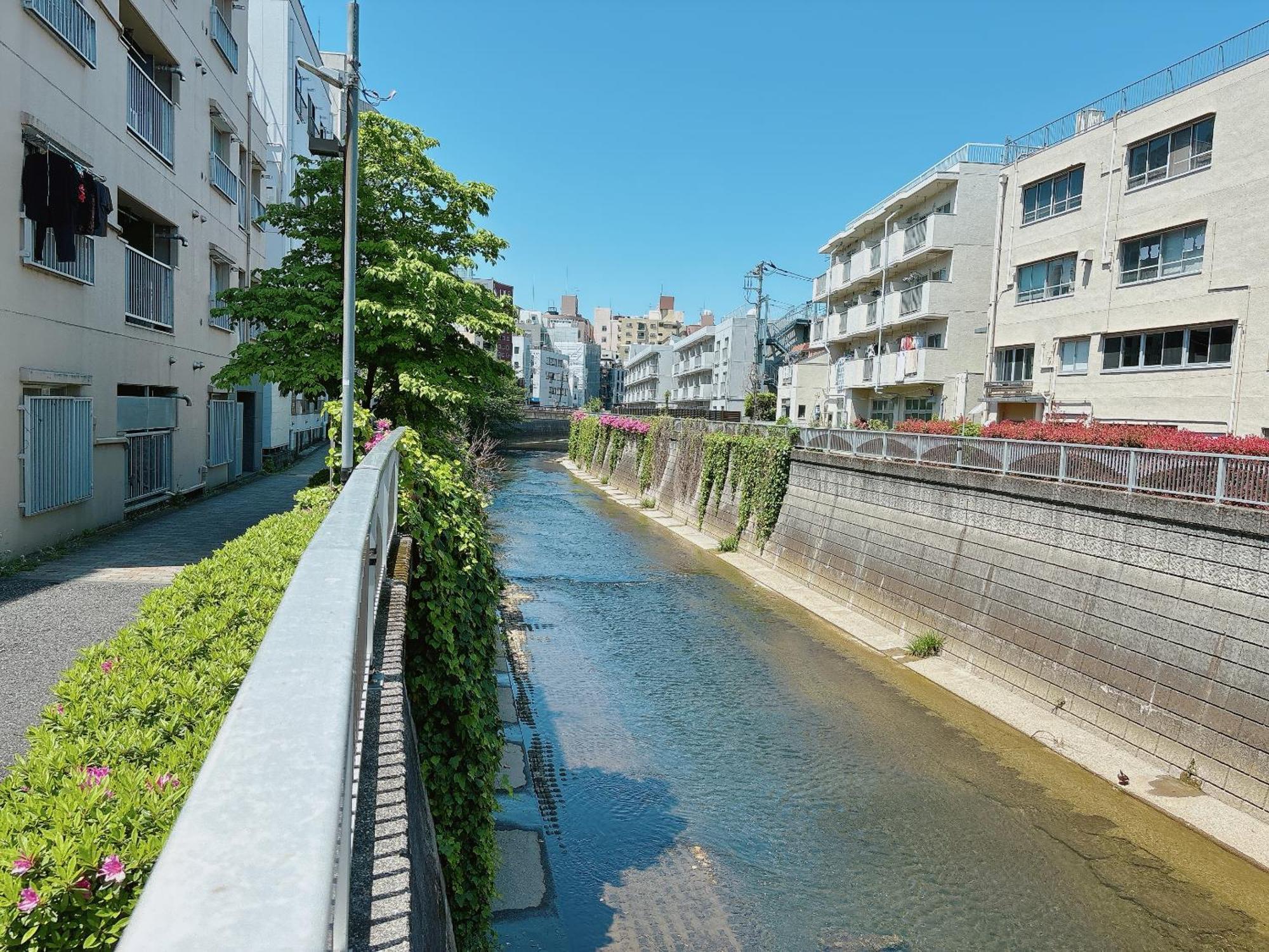 Shinjuku Business House 5min Walk 新宿高田馬場駅歩行5分 Apartment *