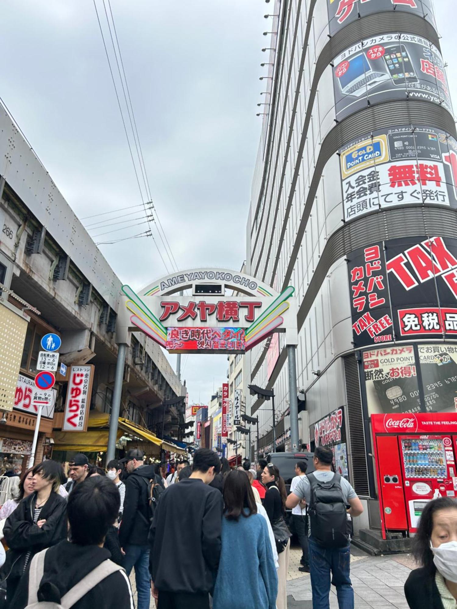 Ueno Palazetto Iriya Apartment