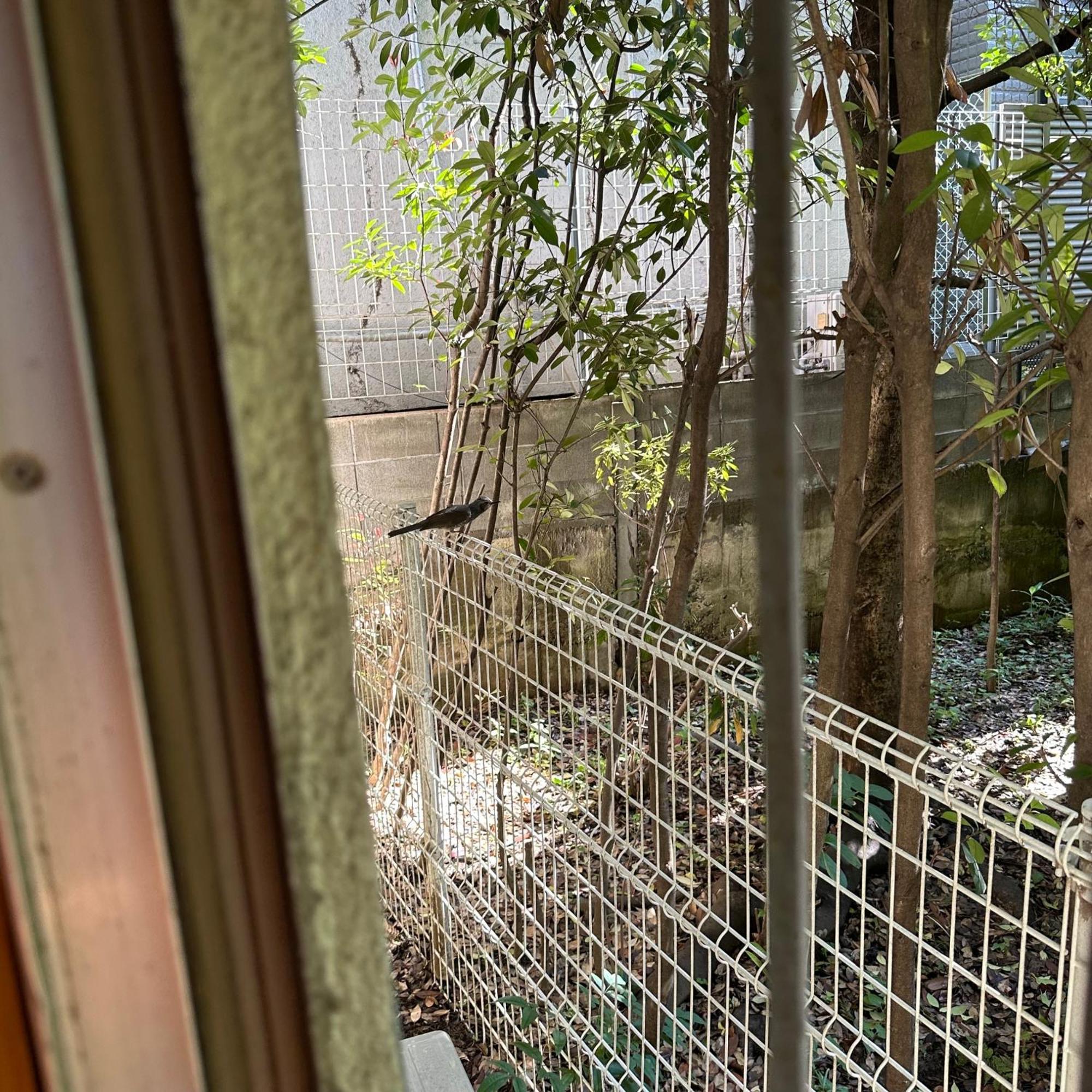 神楽坂戸建てサウス Holiday home Tokyo