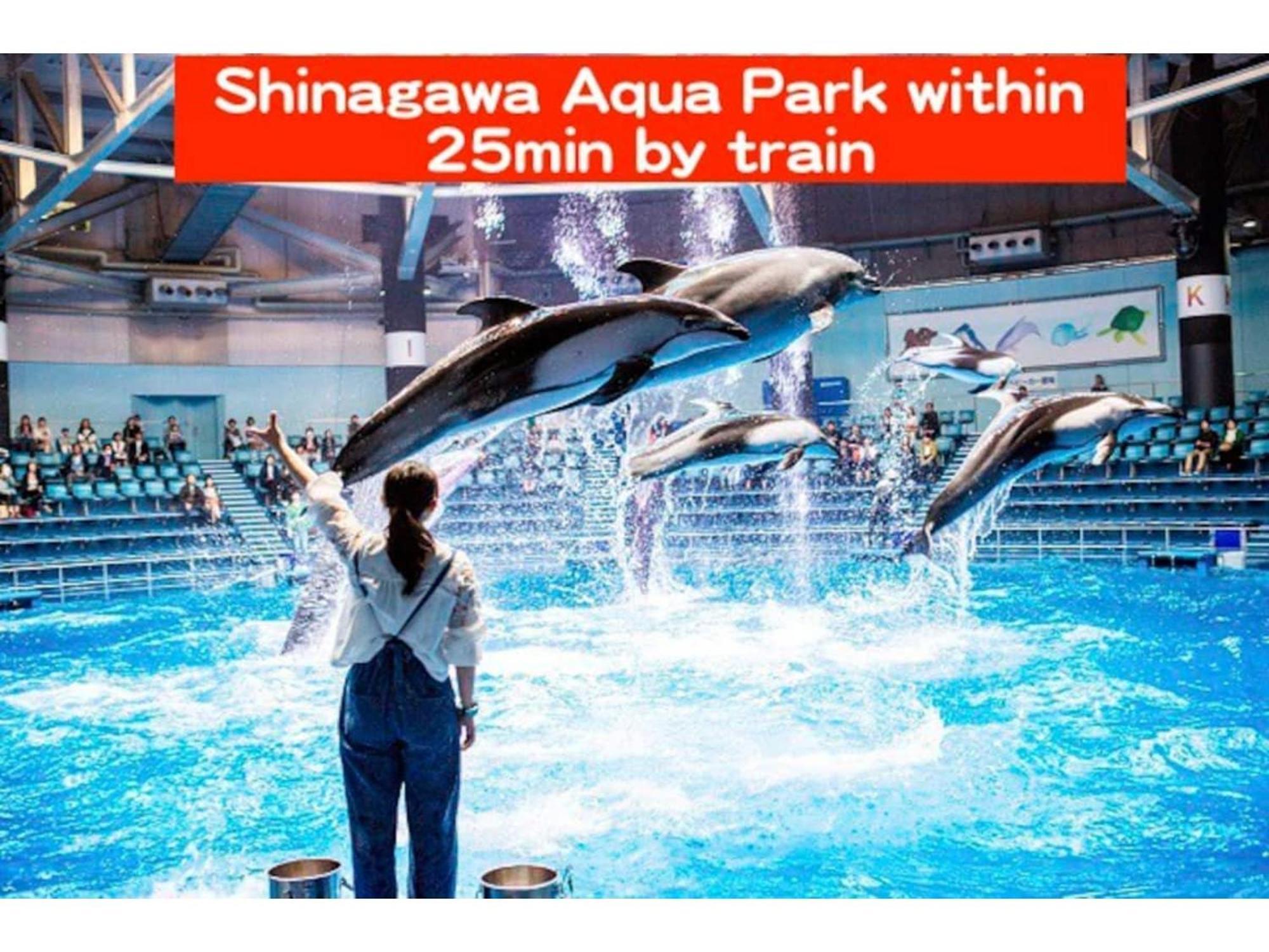 Gracias Arakawa - Vacation 81702v *