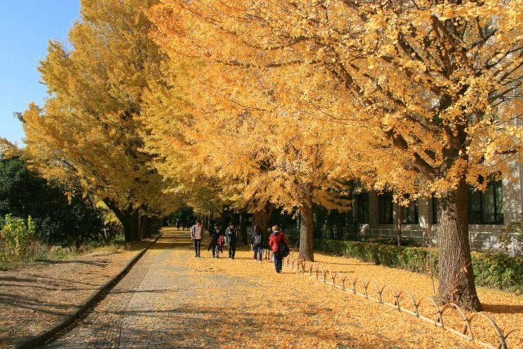 渋谷5分のダブルベット2台の40平米東京大学徒歩5分のアパート Apartment