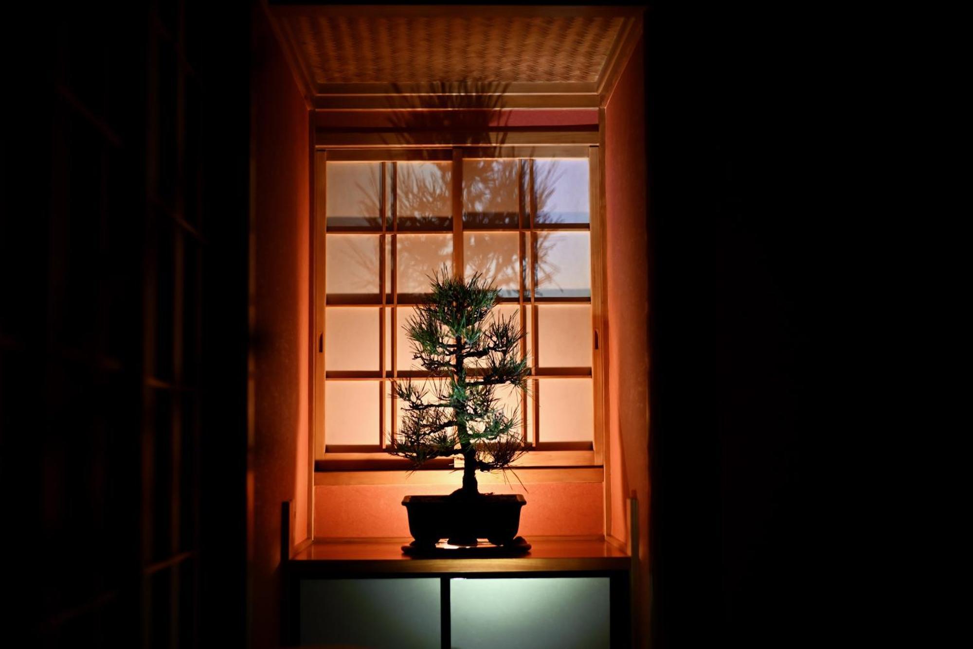 Ichinagi Yanaka Villa Tokyo