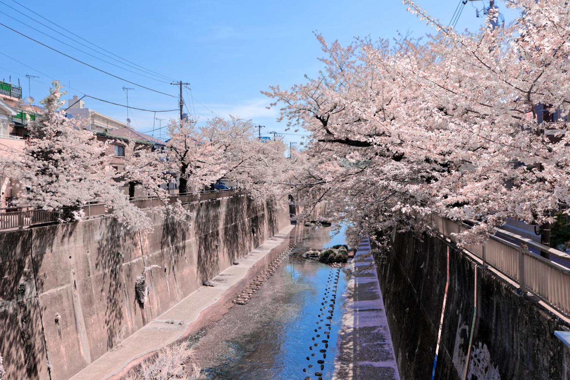 Calm Riverside Close To Ikebukuro