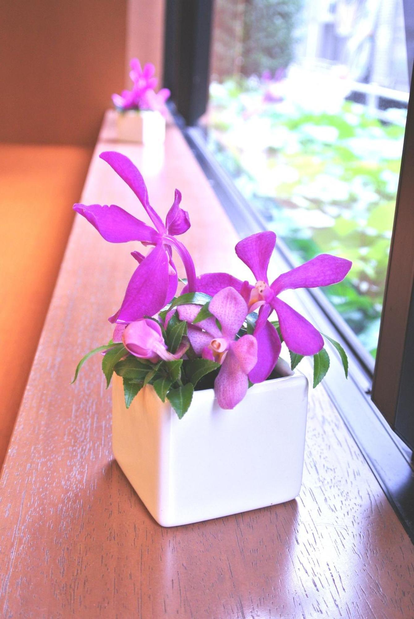 Hotel Almont Nihonbashi 2*