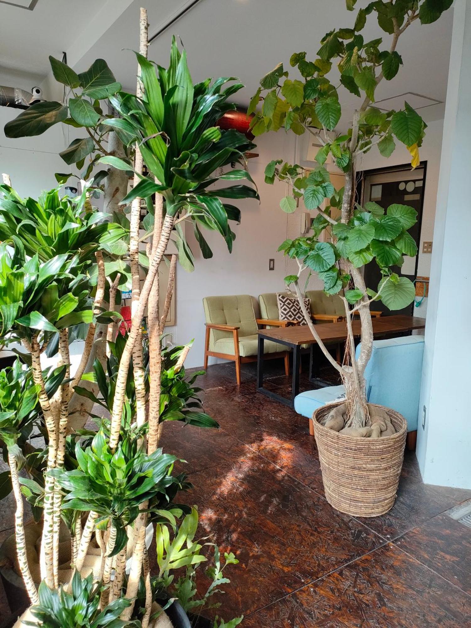 Hostel Ouji Music Lounge Tokyo