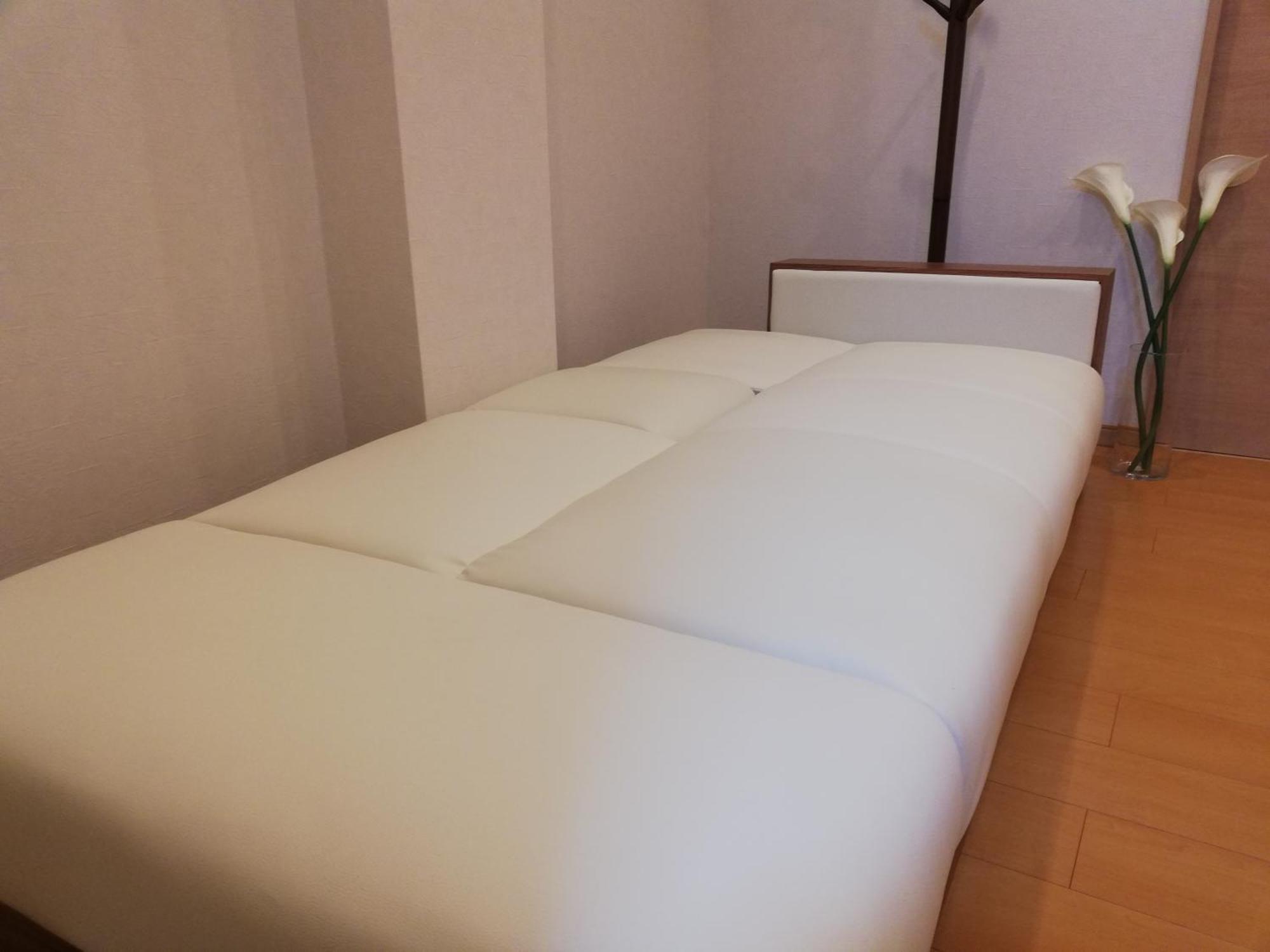 Apartment 3池袋最中心 两室一厅 池袋站10分 2 Ikebukuro Center 10 Mins To St Max 7p 直达新宿 涉谷 表参道 池袋 上野 代代木 银座 原宿 Tokyo