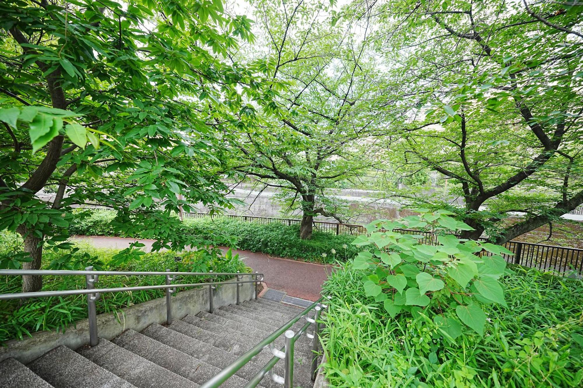 Family Or Business Travel 20 Percent Off Free Ikebukuro Shuttle Garden Up To 7 Guests Tokyo