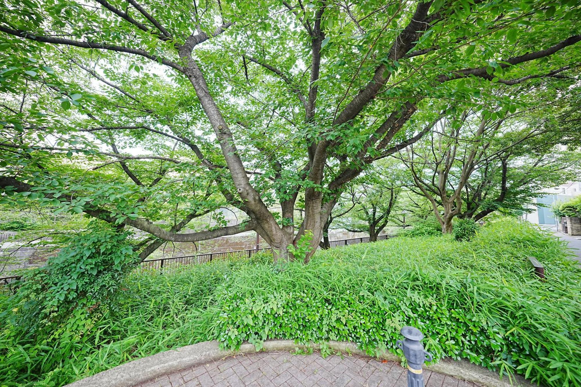Villa Family Or Business Travel 20 Percent Off Free Ikebukuro Shuttle Garden Up To 7 Guests